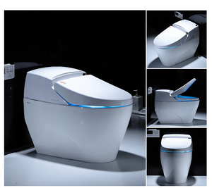 Modern Intelligent Toilet 8701