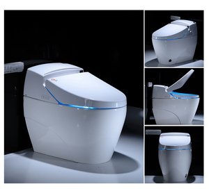Multi-function Intelligent Toilet 8701S