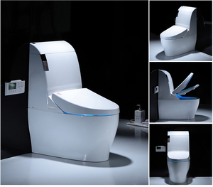 Intelligent Toilet Seat 801