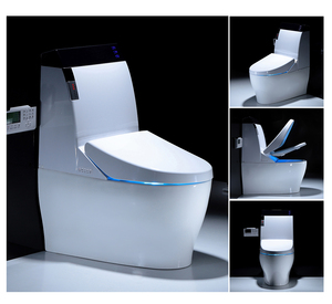 One-piece Intelligent Toilet 802
